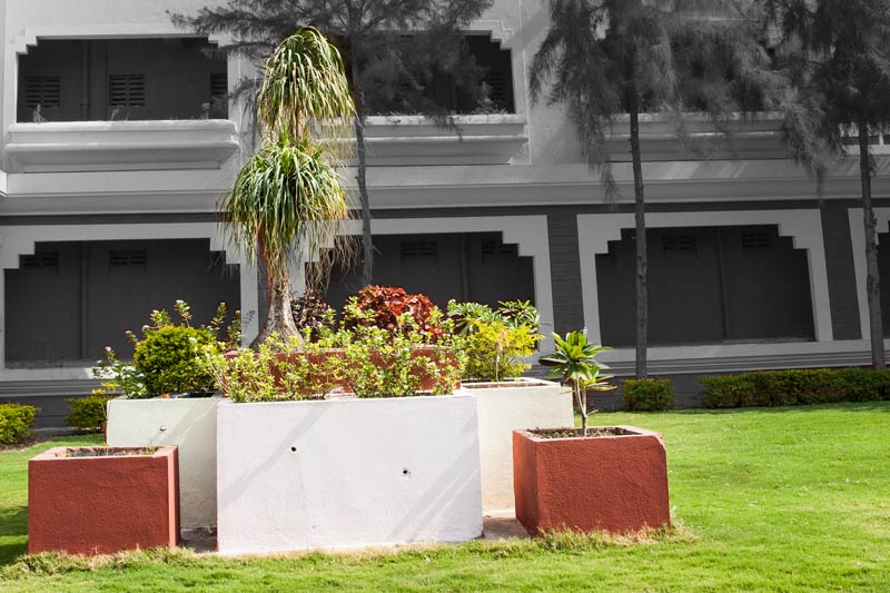 Garden raised using organic manure derived from the sludge retrieved from digesters at the community toilet-cum-bath complex constructed by Sulabh International in Shirdi, Maharashtra